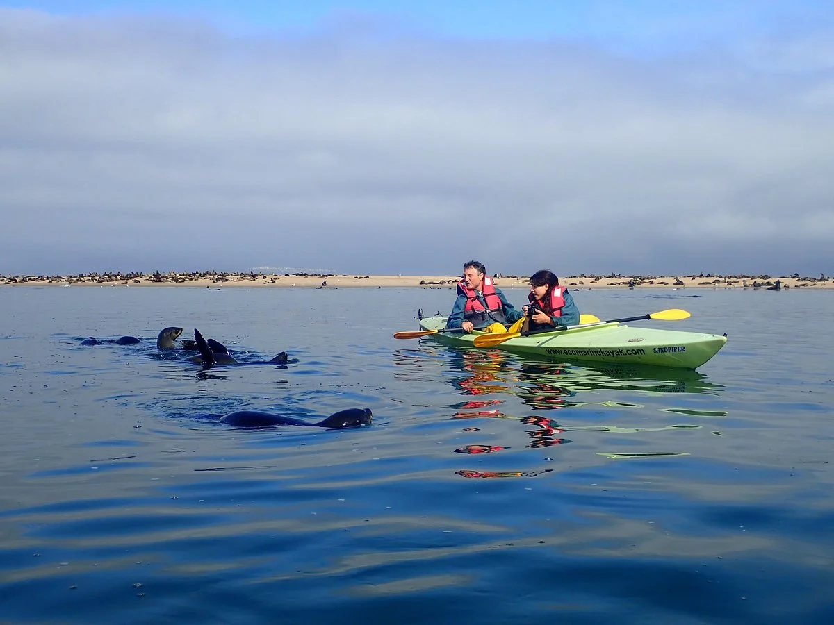 Eco Marine Kayak Tours