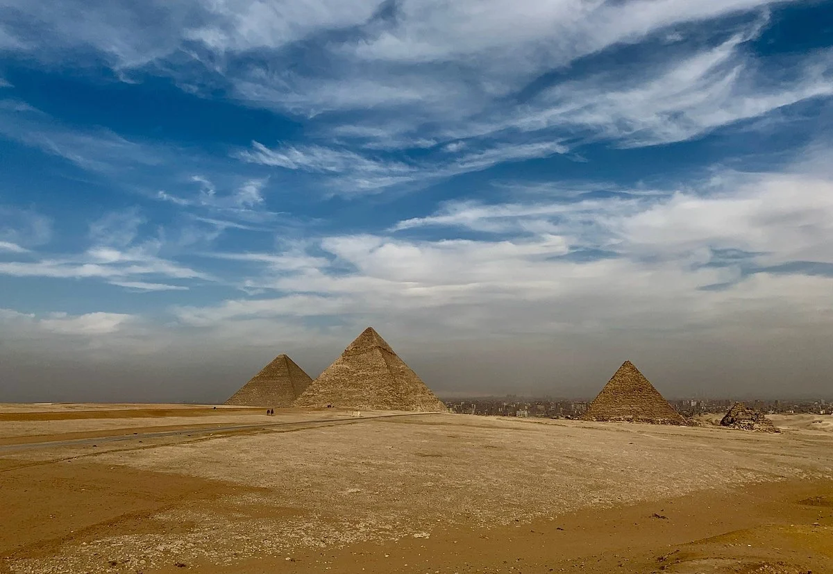 Tree of Life Day Tours