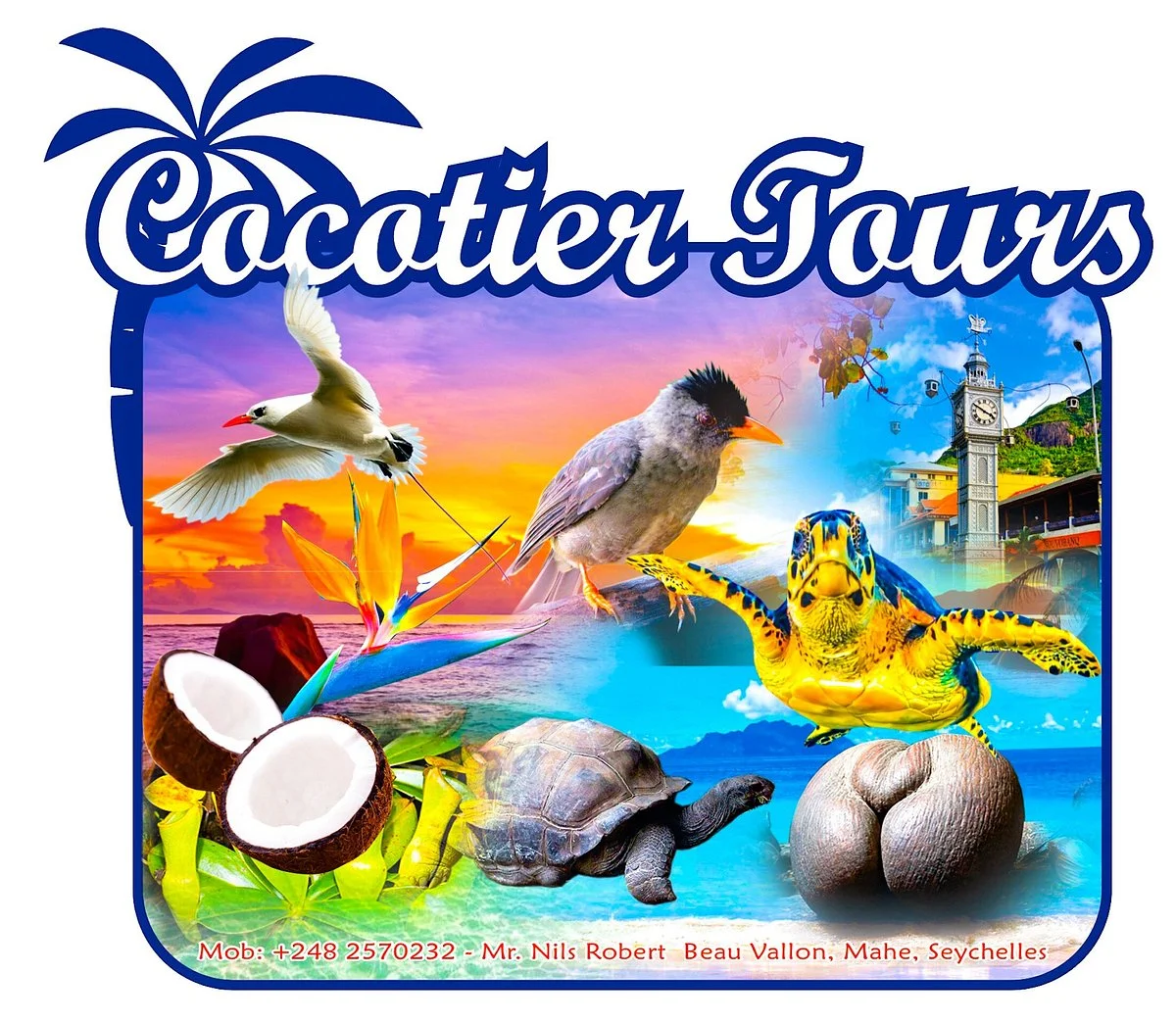 Cocotier Tours
