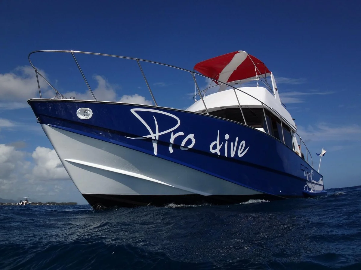 Pro Dive Mauritius