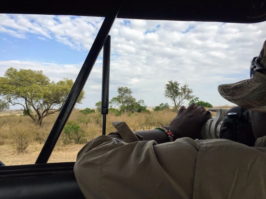 Odyssey Safaris