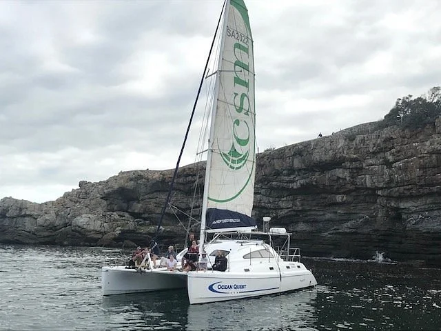 Neptune's Divers and Cruises Hermanus