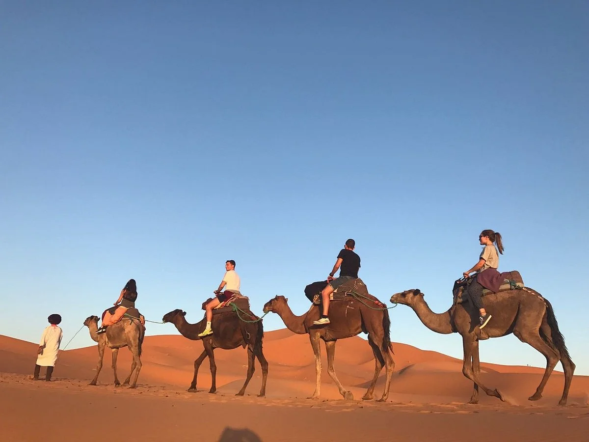 Sahara Camel Trips
