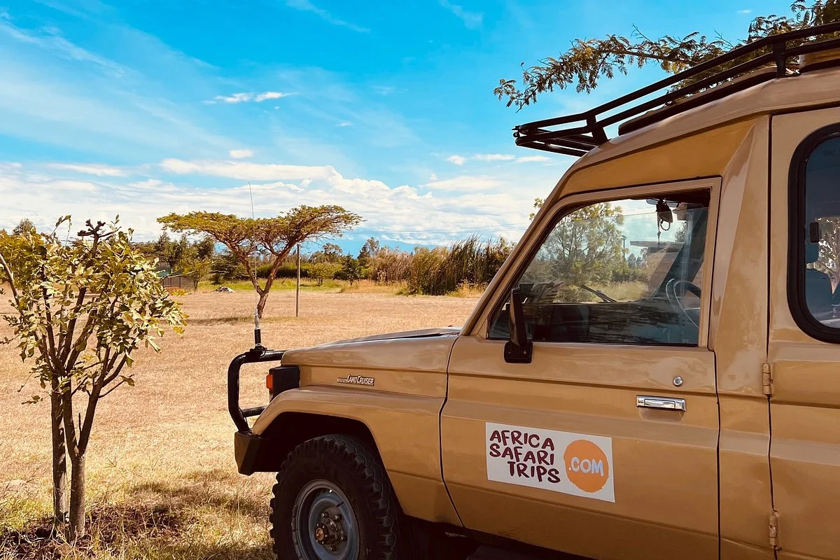 Africa Safari Trips