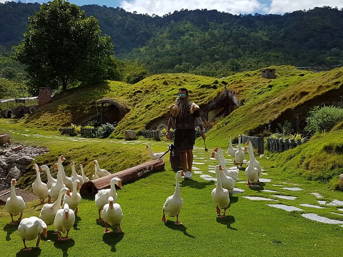 AlpacaHill