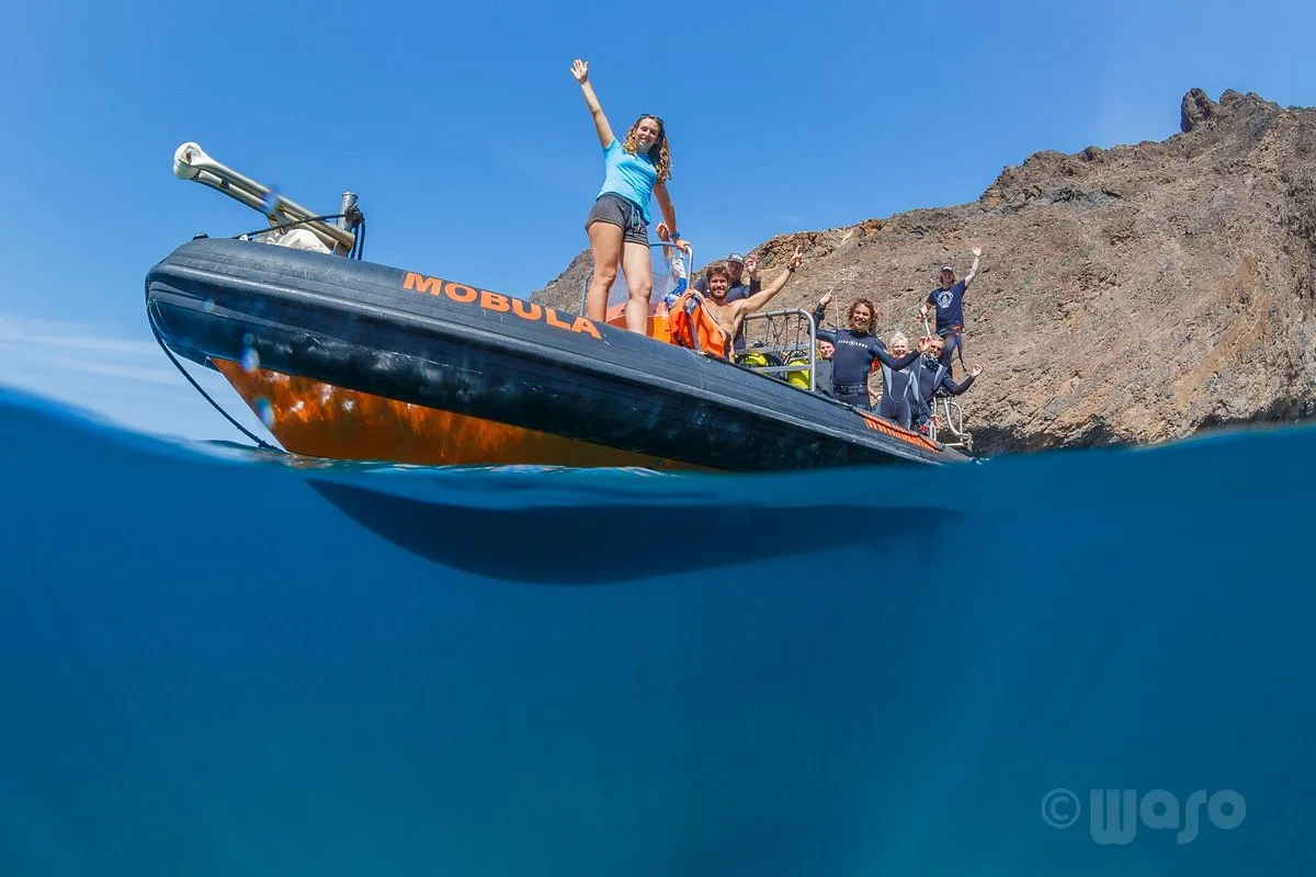 Haliotis Dive Center
