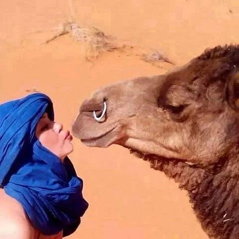 Al Desierto Con Youssef
