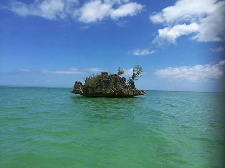 Sun Tropical Tours