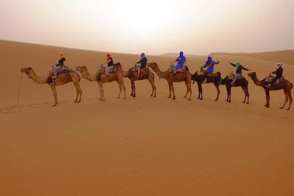 Zagora Desert Travel