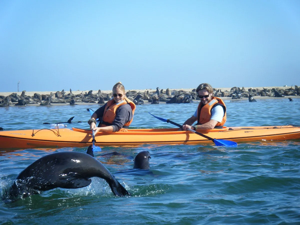Pelican Point Kayaking