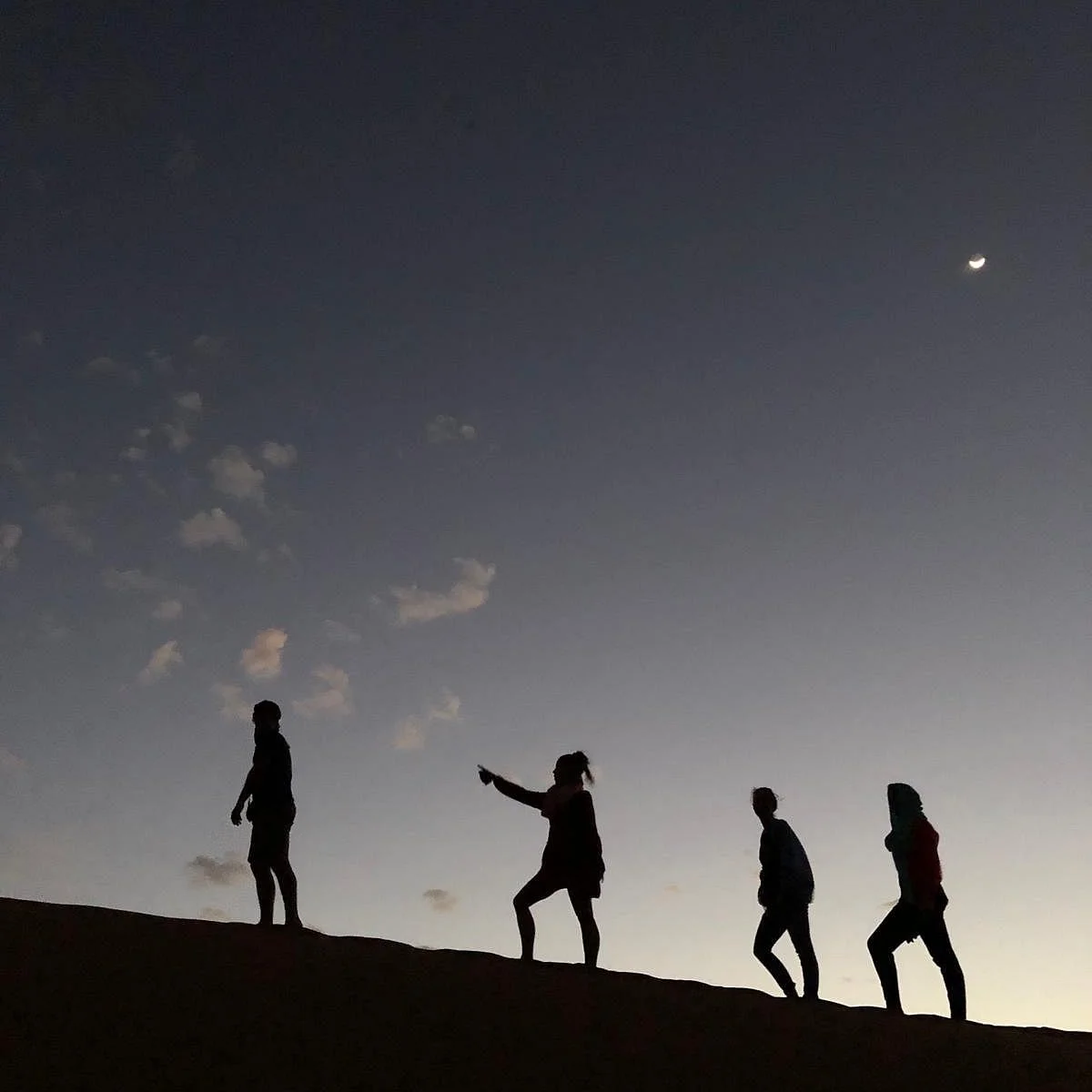 Desert Araouane