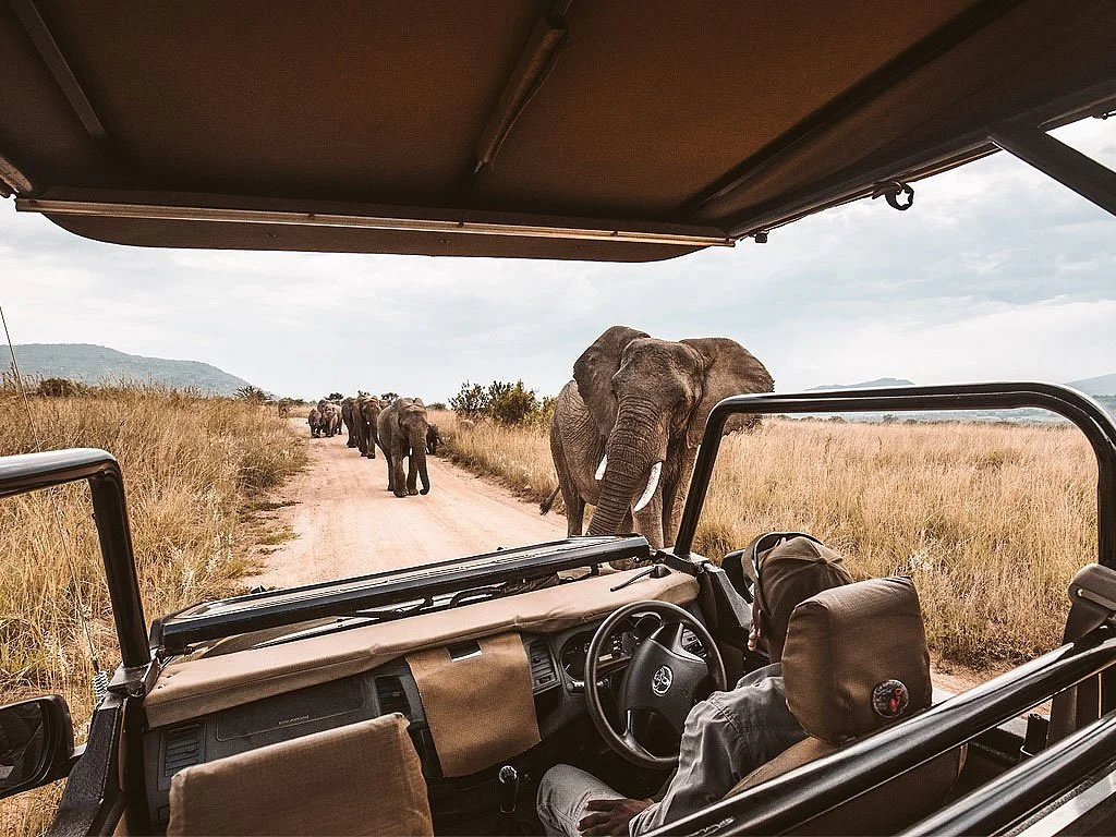 Namibia Tours & Safaris