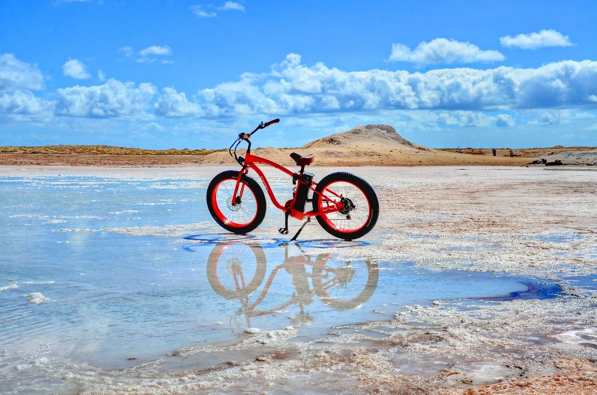 Electrica Electric Bikes
