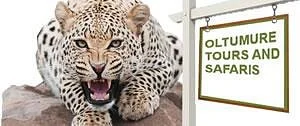 Oltumure Tours & Safaris