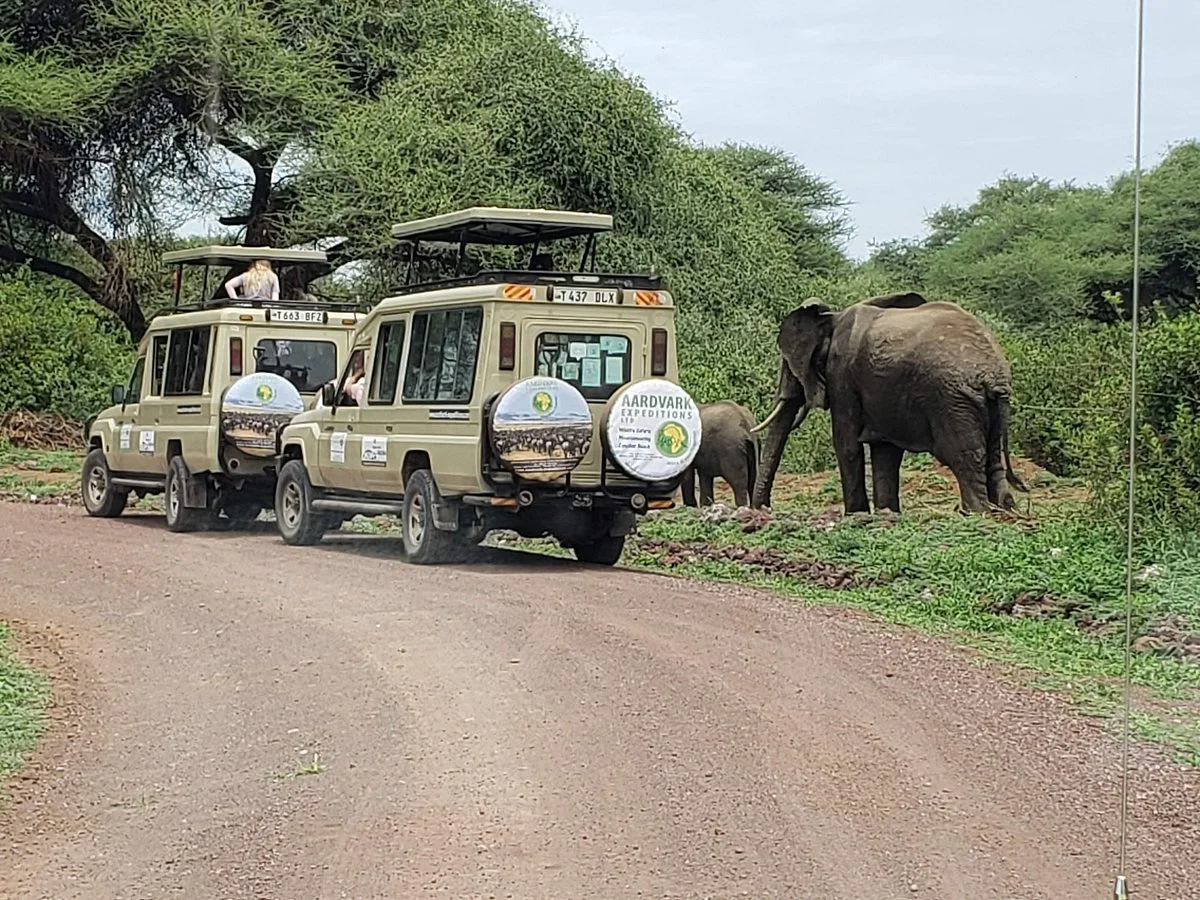 Aardvark Expeditions Limited