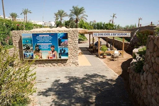 Dive In Sharm