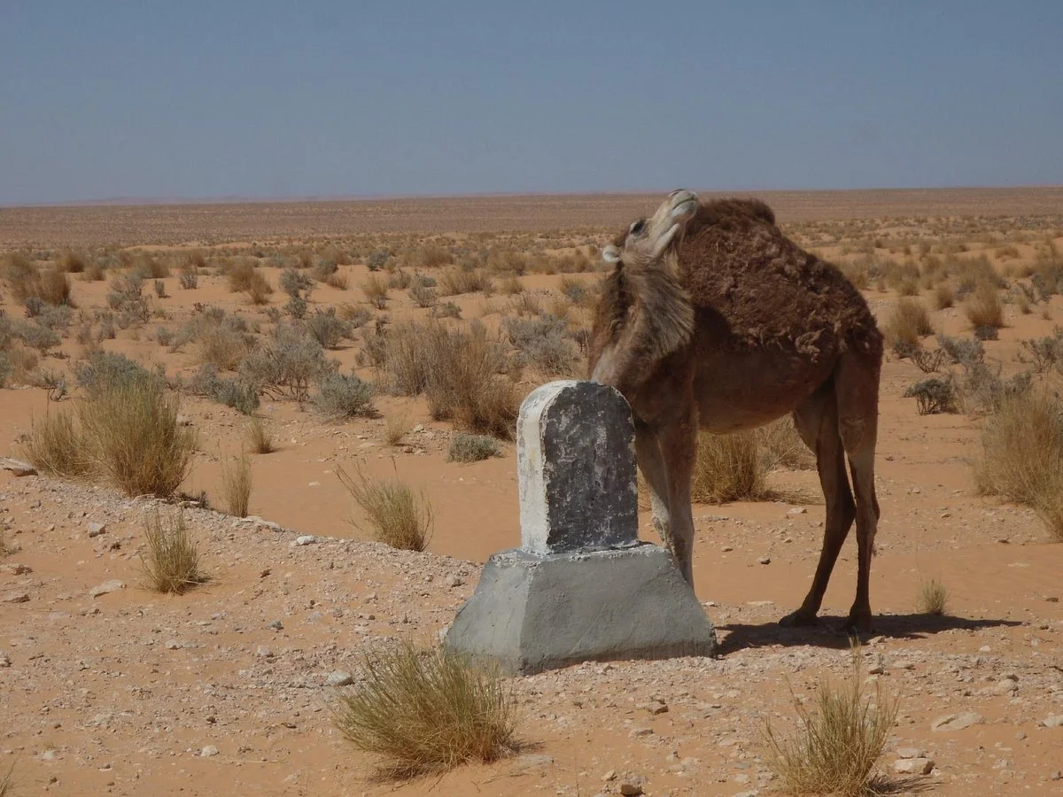 Autre Tunisie Day Tours