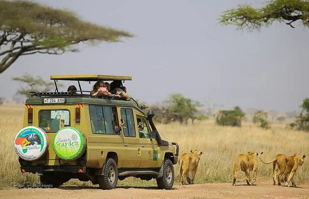 Nyange Adventures