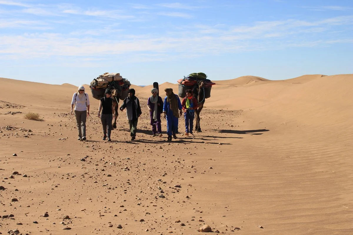 Sahara Espace