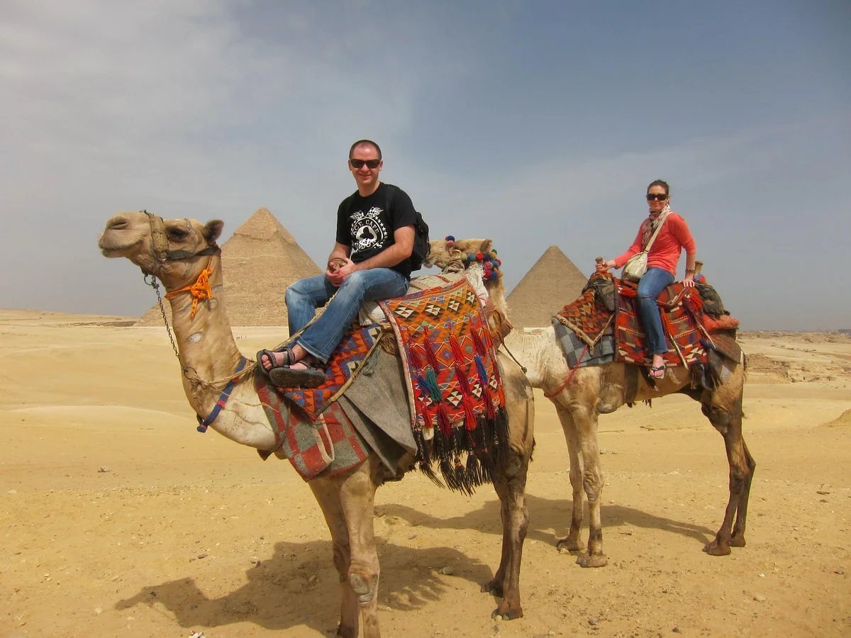 Habibitours - Day Tours