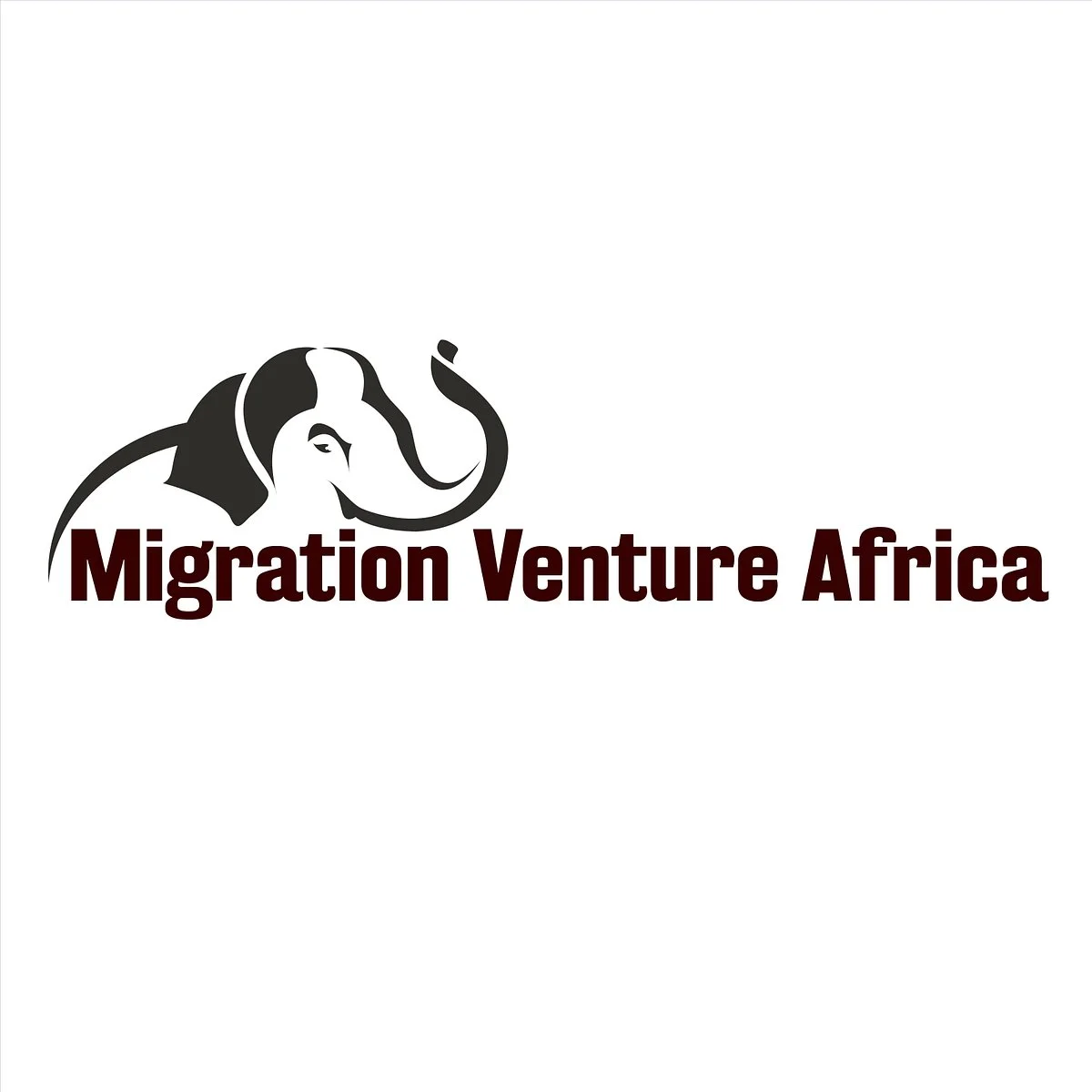 Migration Venture Africa
