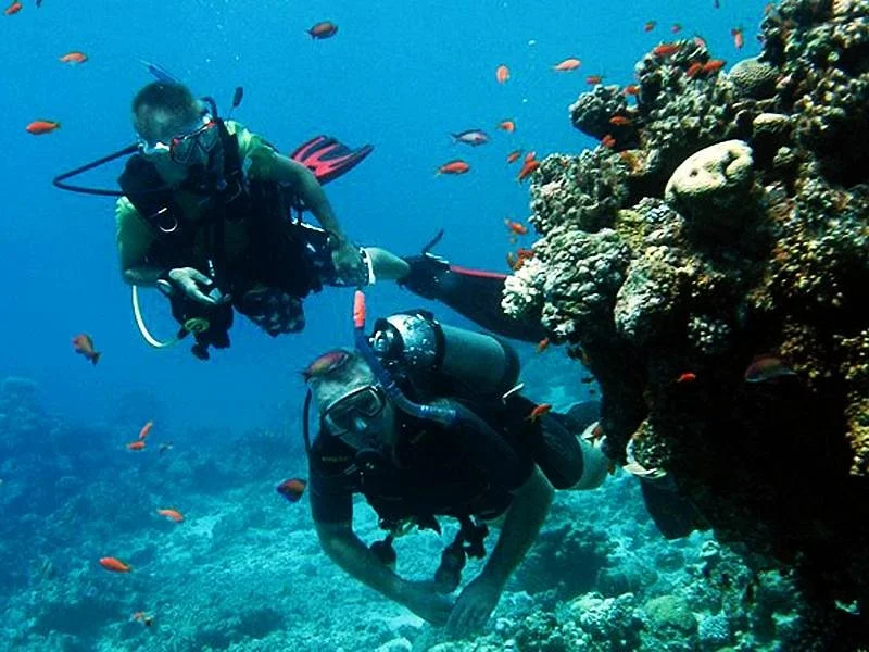 Red Sea Relax Dive Centre