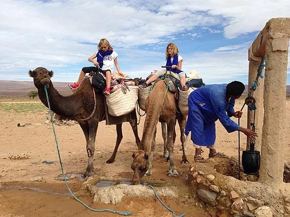 Les Merveilles Nomades