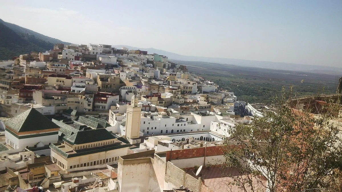 Fuma Tour Travel - Day Tours