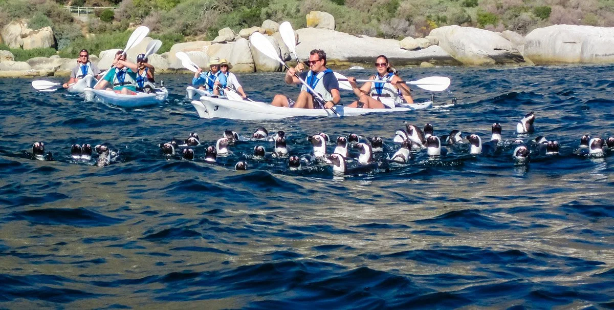 Kayak Cape Town