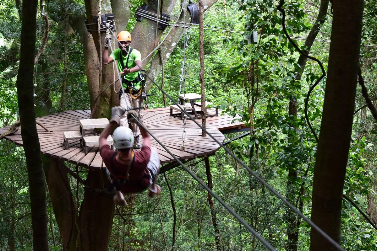 Drakensberg Canopy Tour