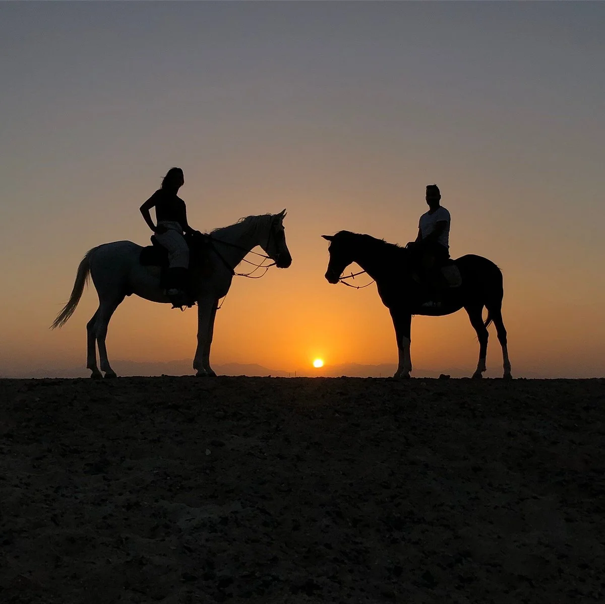 HorseTrips Hurghada
