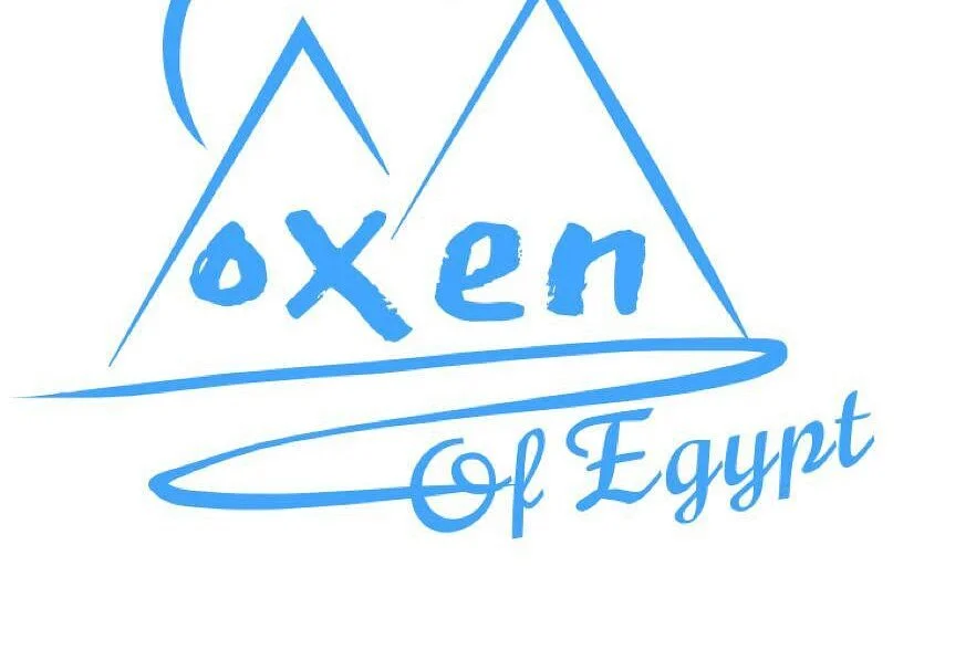 Oxen of Egypt Tours