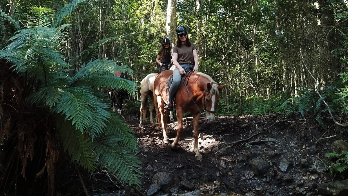 Hog Hollow Horse Trails
