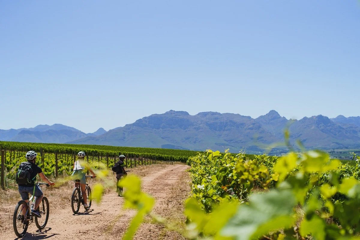 Bikes 'n Wines