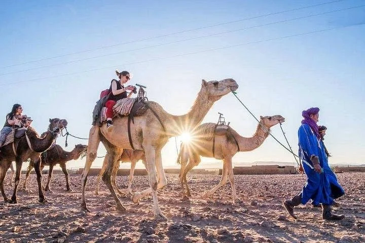 Marrakech Tours Excursions