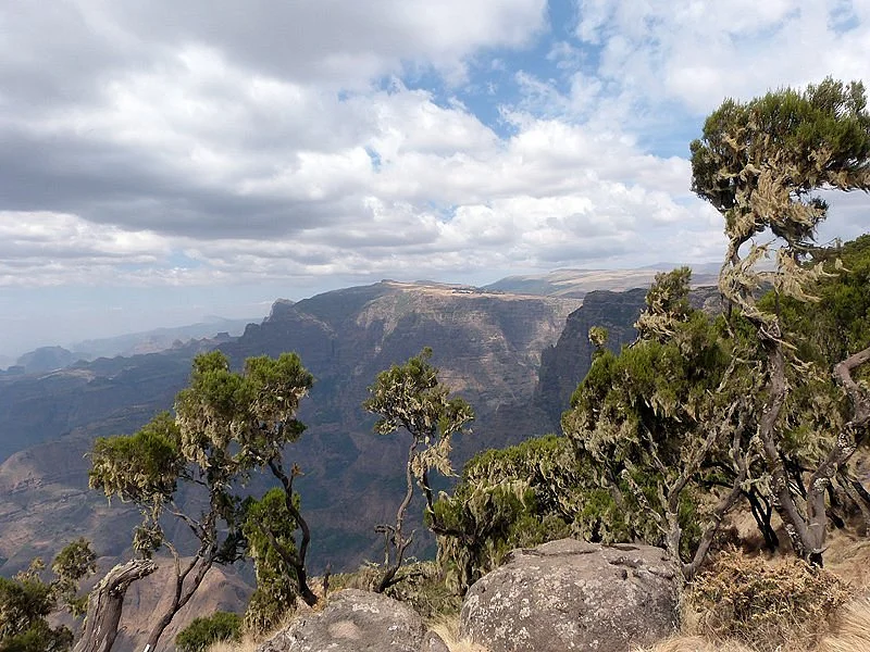 Trek Ethiopia Travel and Tours