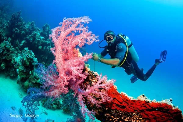 Dive Hurghada