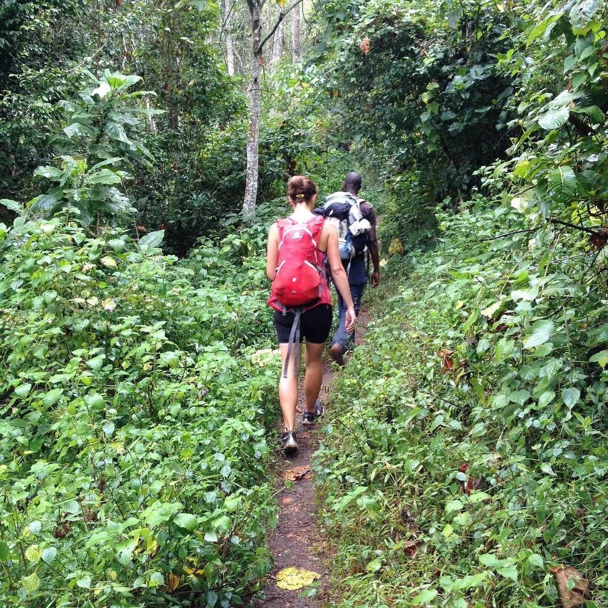 Usambara  Adventures
