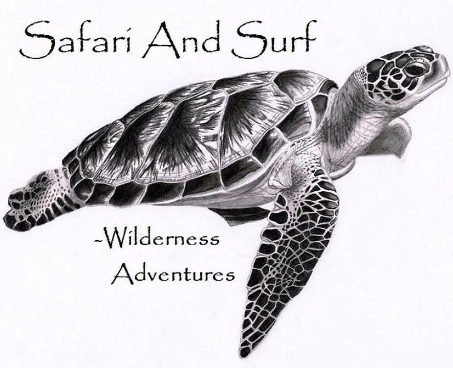 Safari and Surf