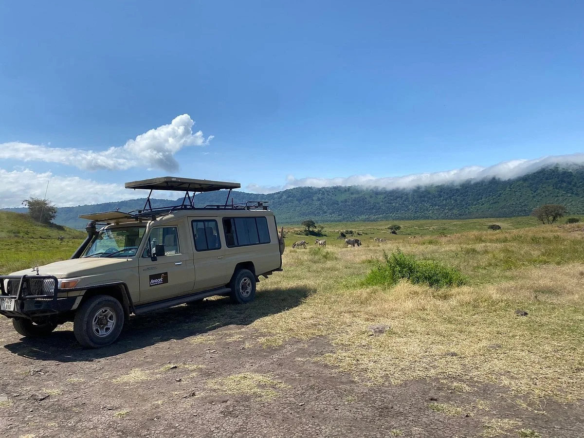 Avocet Tanzania Safaris