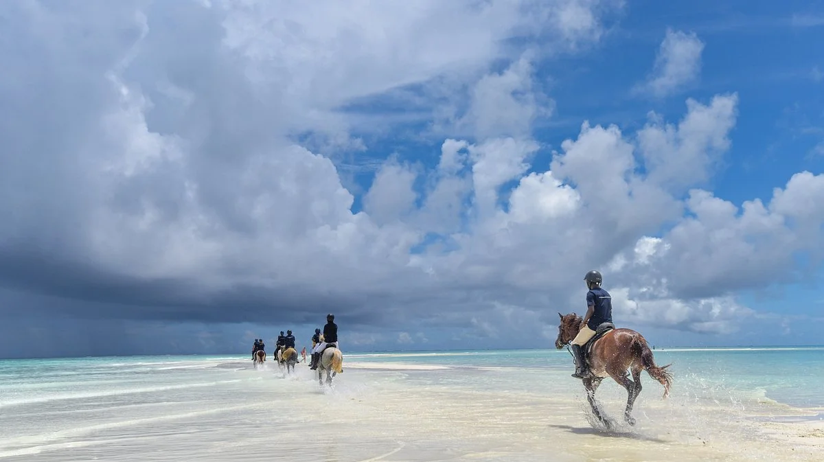 Zanzibar Horse Club