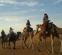 Tours from Marrakech