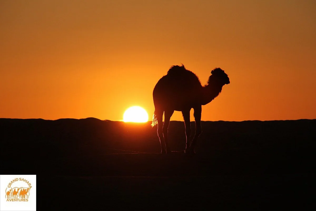Grand Sahara Aventures