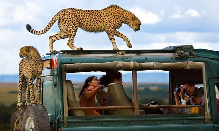 East Africa Adventure Tours and Safaris