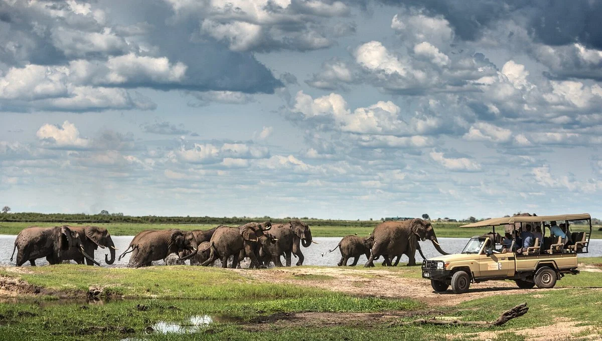 Kalahari Tours