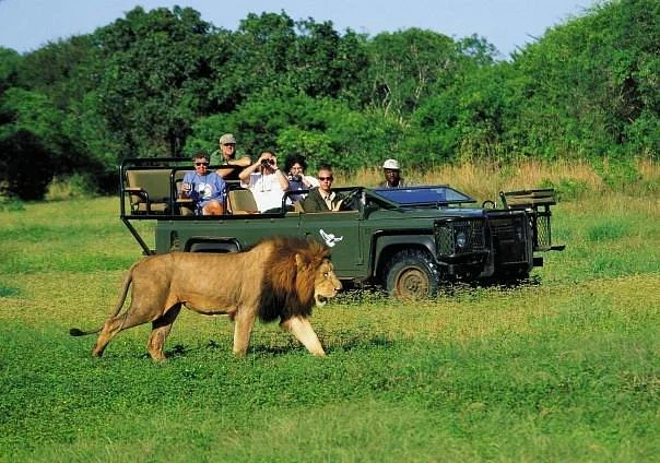 CapeXtreme Adventure Tours