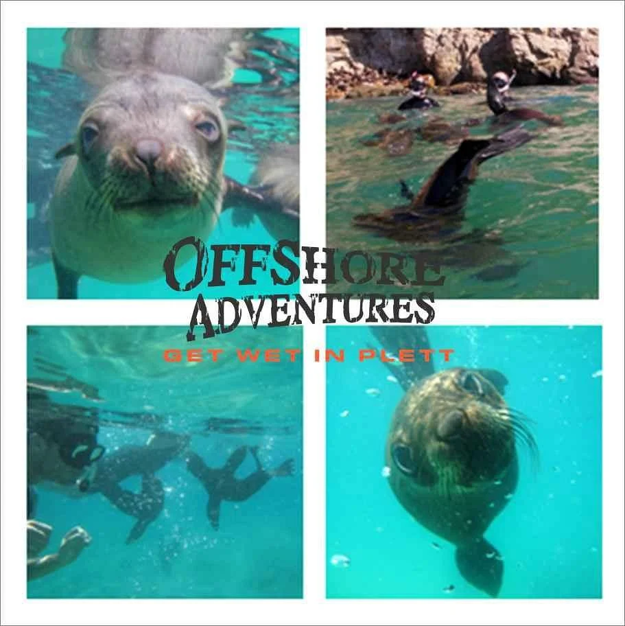 Offshore Adventures