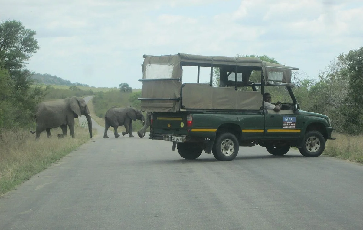 GAP Tours & Transfers