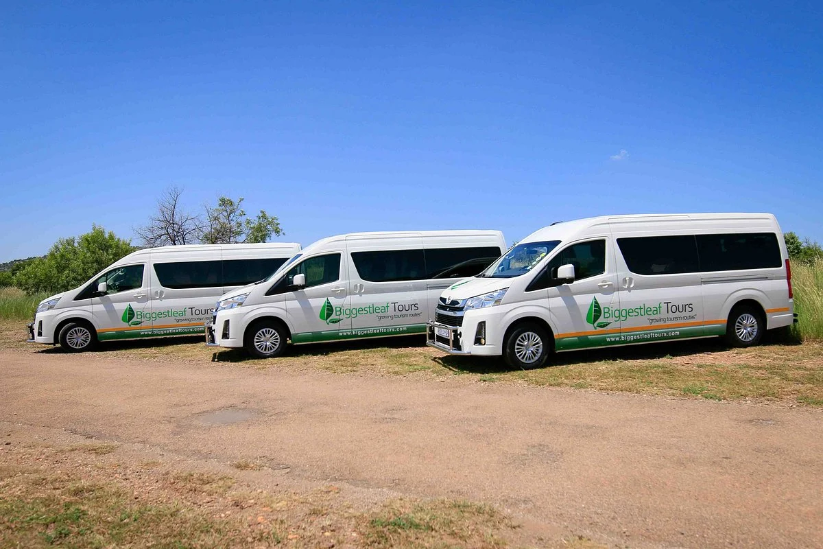 Biggestleaf Tours