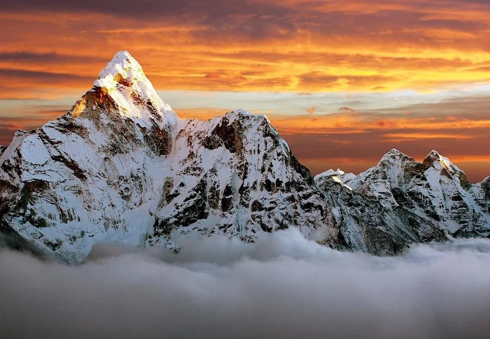 Trekking Hero - Kilimanjaro Day Hike